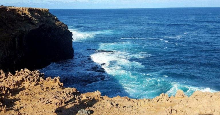 Blowholes to cape bridgewater seal colony 768x403