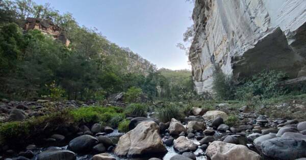 Hikes Carnarvon great walk 87km 600x315