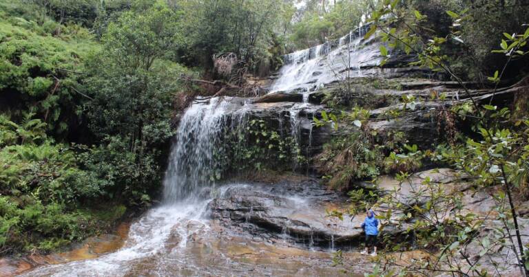 Lawson Waterfalls Circuit Hike (3km) Cataract falls 2 768x403
