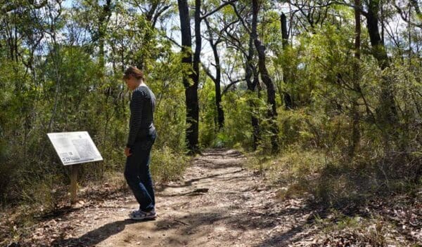 Hikes Jack evans walking track trail hiking australia 600x352