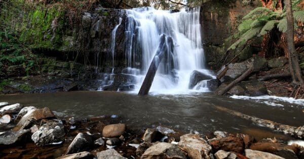 Lilydale falls 600x315