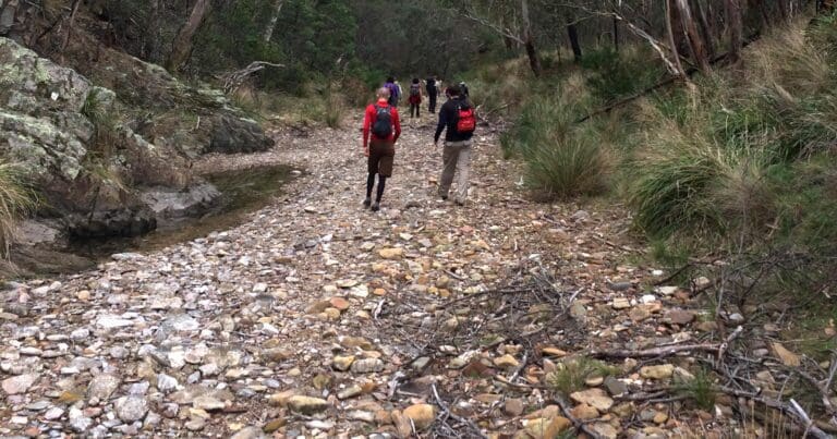 Find a hike or bushwalk