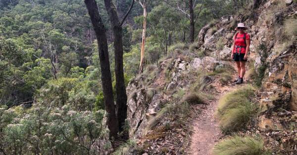 Ruths Gully Circuit Hike (17km) Ruth gully byers back track 600x315