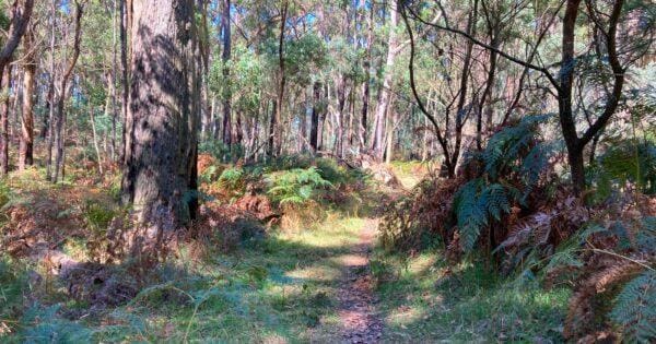 Hikes Werribee river mount hope circuit 2 600x315