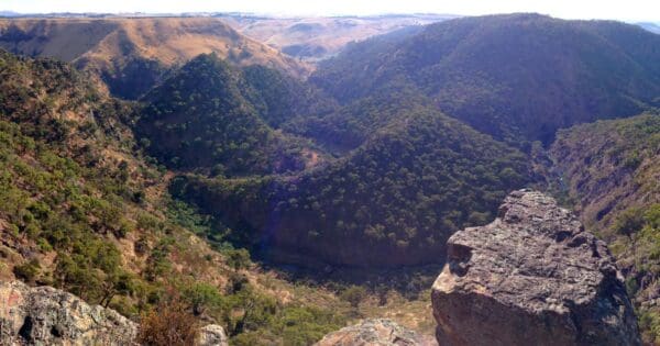 Pyramid Rock - Ironbark Gorge Hike (7.6km) Western bluff and falcons lookout 1 600x315