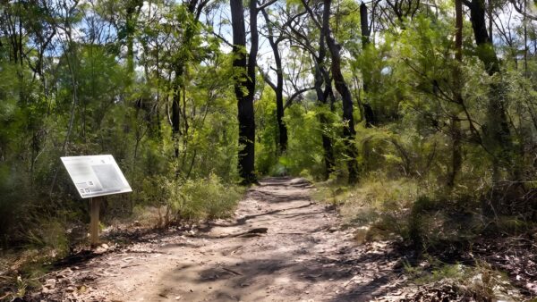 Jack evans walking track (2. 6km)