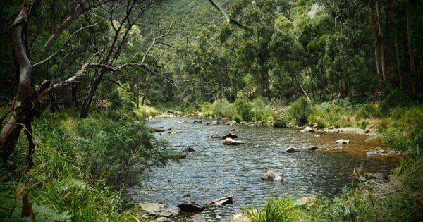 Lerderderg weir and river via spur track 600x315