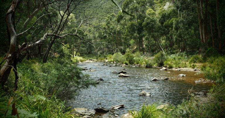 Lerderderg weir and river via spur track 768x404