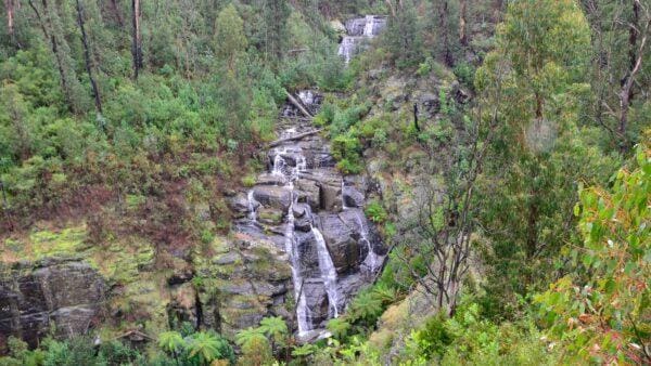 Day Hikes Australia Trail hiking masons falls circuit 600x338