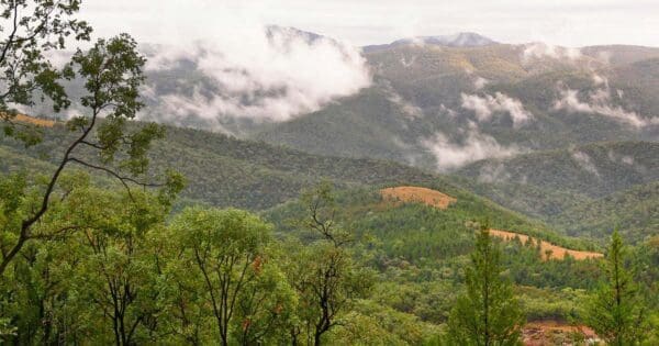 Hikes Burrows waterhole to rats castle track 600x315