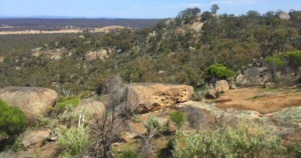 Melville Caves Walk (1km) Eastern walking circuit 600x315