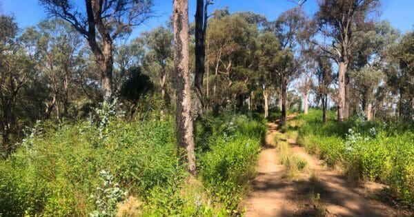 Fairy dell jeep track circuit 600x315