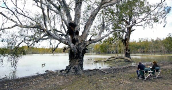 Hikes Lake mournpall 600x315
