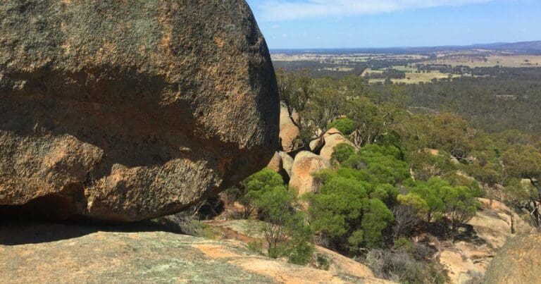 Southern lookout walking track 768x403