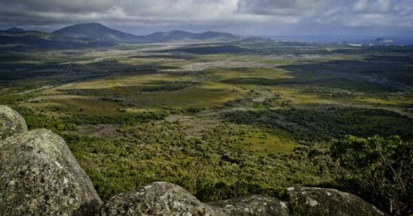 Hikes Vereker outlook walk 600x315