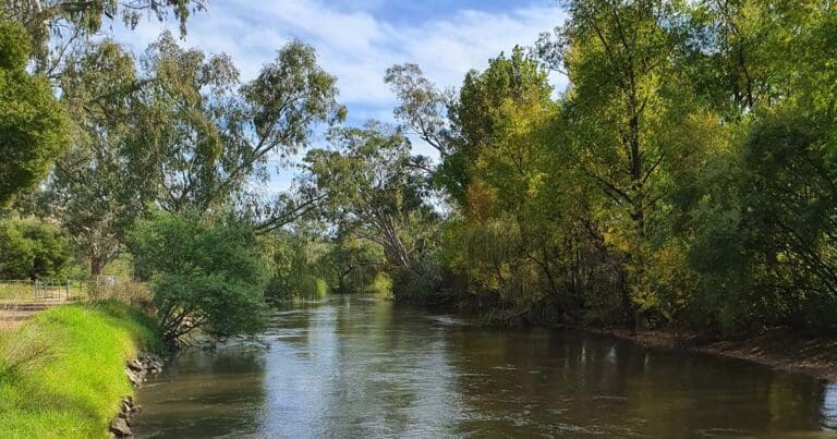 Huon hill kiewa river 768x403