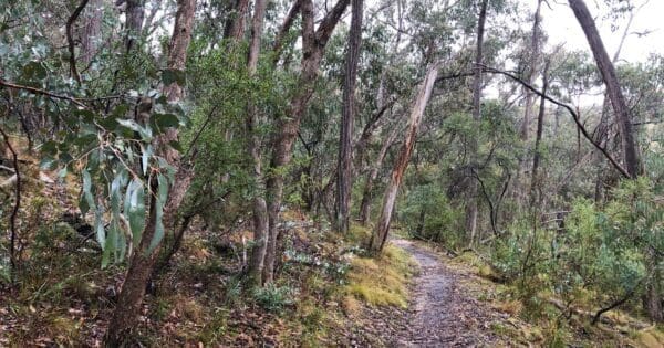 Hikes The three lost children walk 600x315