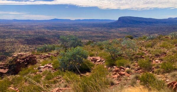 Trephina ridgetop walk 600x315