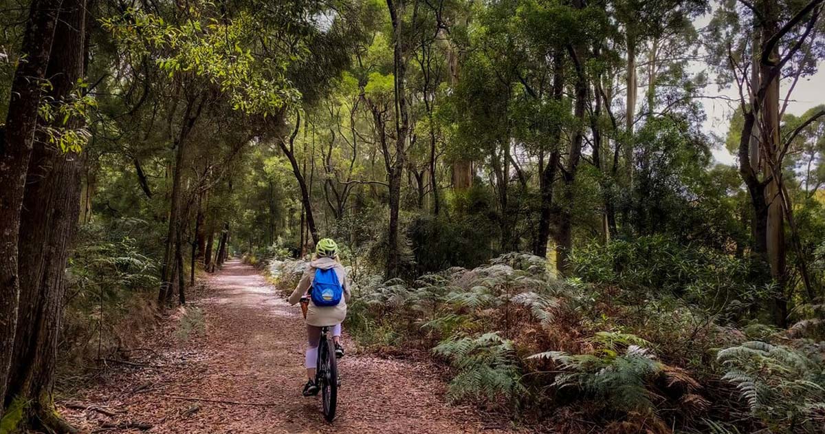 Camperdown to timboon rail trail