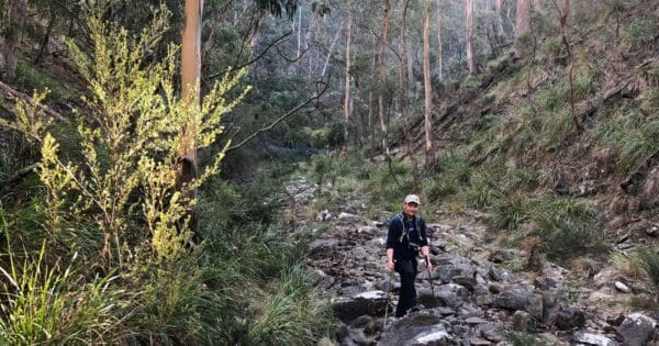 Square bottle and whiskey circuit 1 600x315