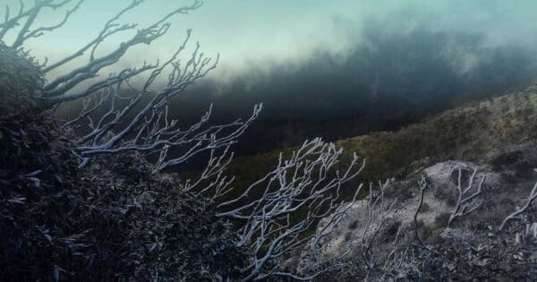 Four & Six Mile Spurs Hike (22km) Buller huts trail australia 1 600x315