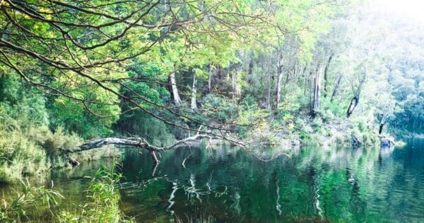 Australian Alps Walking Track - AAWT (655km) Lake tali karng tamboritha road and mt margaret 600x315