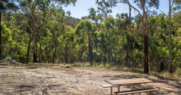 Enfield Bald Hills Loop Hike (15.5km) Long gully misery creek loop 600x315
