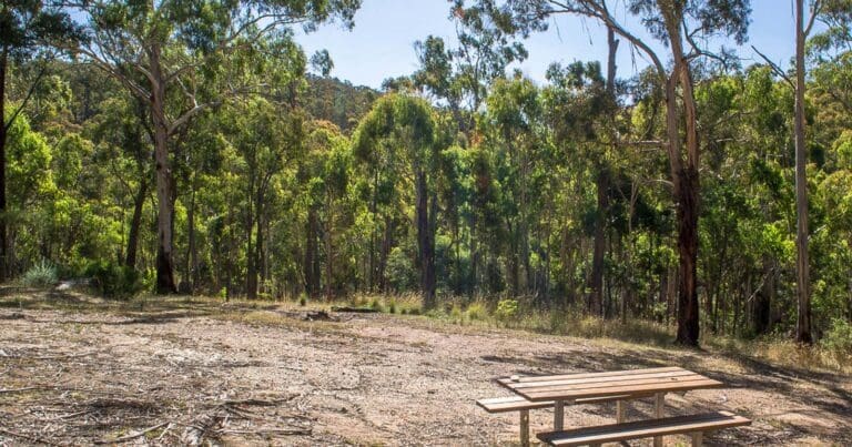 Long gully misery creek loop 768x403
