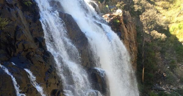 Mackenzie falls 600x315