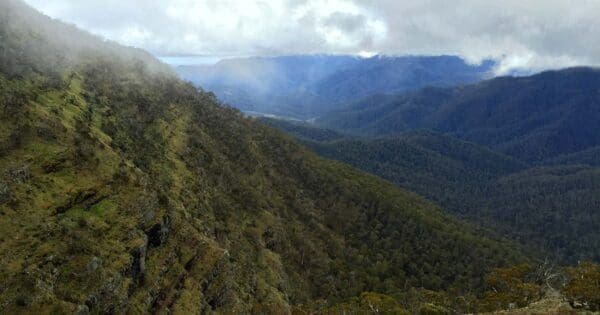 Crosscut Saw & Mt Speculation Hike (24.7km) Mount howitt 600x315
