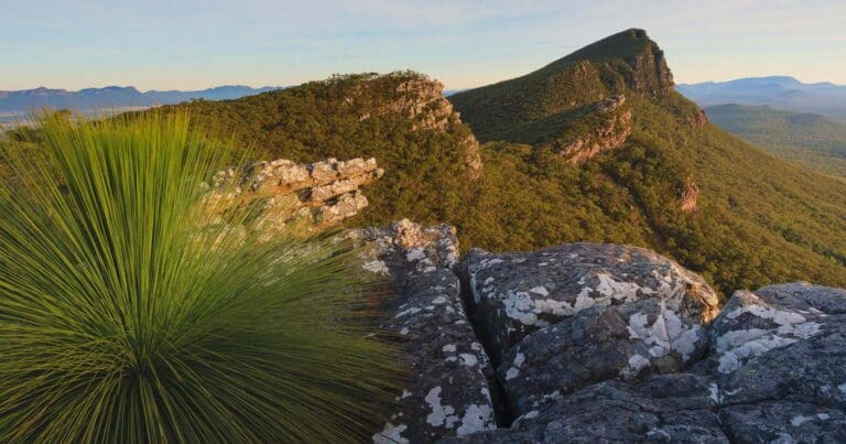 Signal Peak Hike (7.5km) Signal peak 768x403