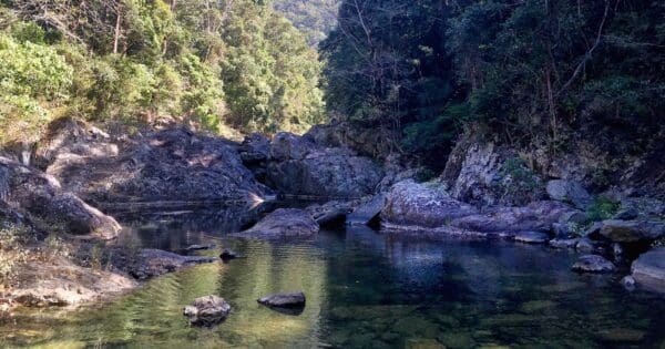 Hikes Booloumba falls walk 600x315