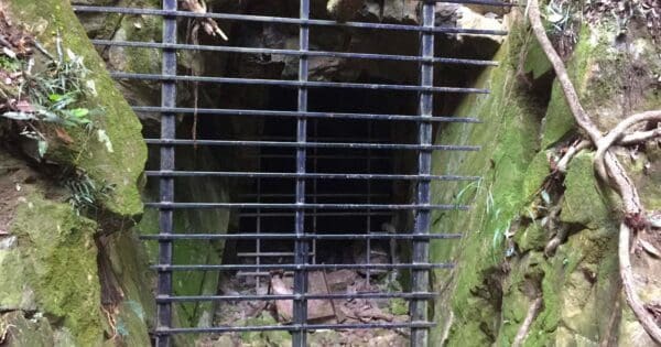 Booloumba Gold Mine Walk Conondale National Park Booloumba gold mine walk conondale national park