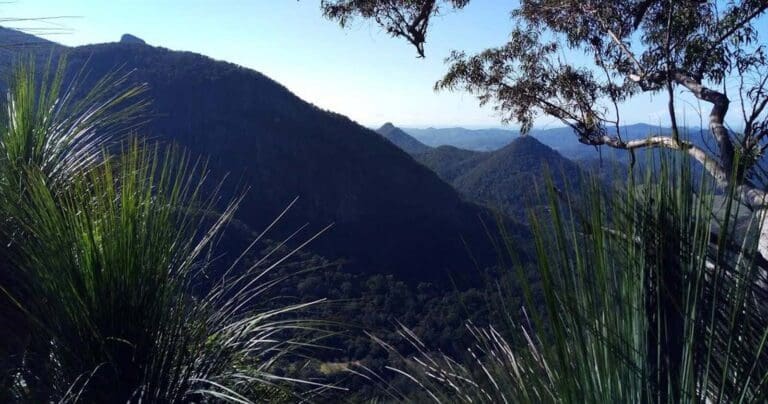Brummies Lookout Loop Hike (11km) Brummies lookout loop 768x404