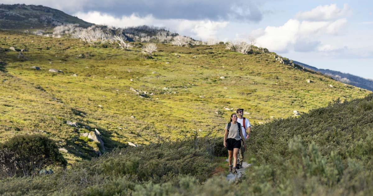Guthega to charlotte pass