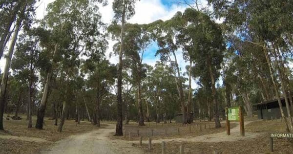 Hikes Jenny clayton circuit 600x315