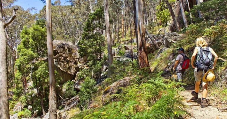 Mount sugarloaf circuit 768x404