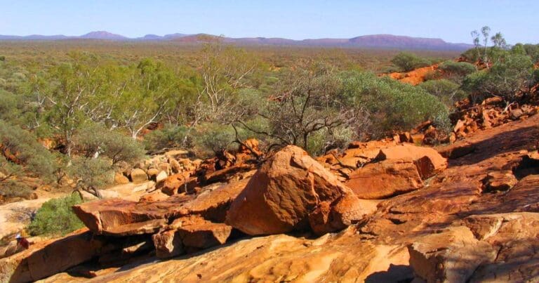 The gully trail 768x403
