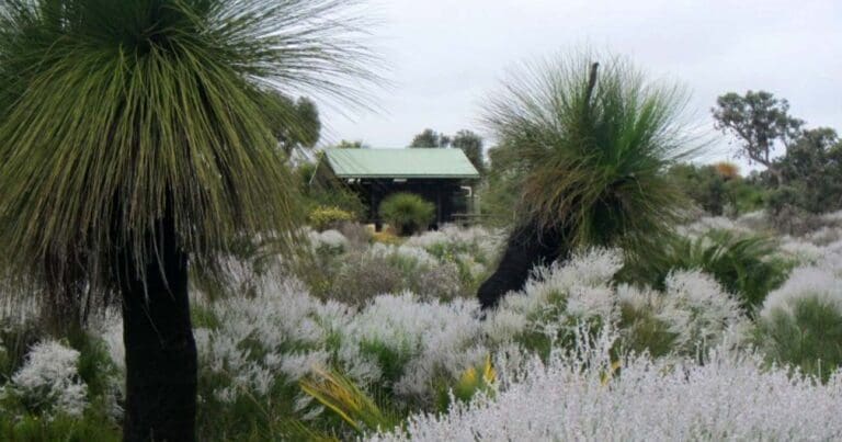 Cockatoo walk trail 768x403