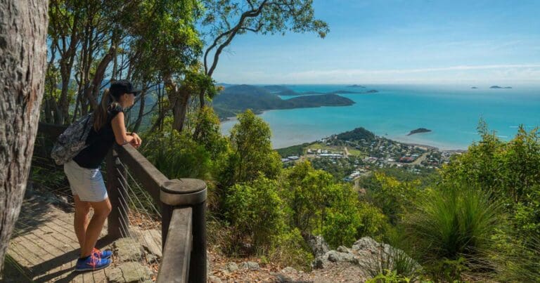 Honeyeater lookout
