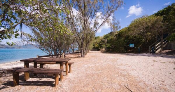 Coral Beach & the Beak Walk (5km) Sandy bay 600x315
