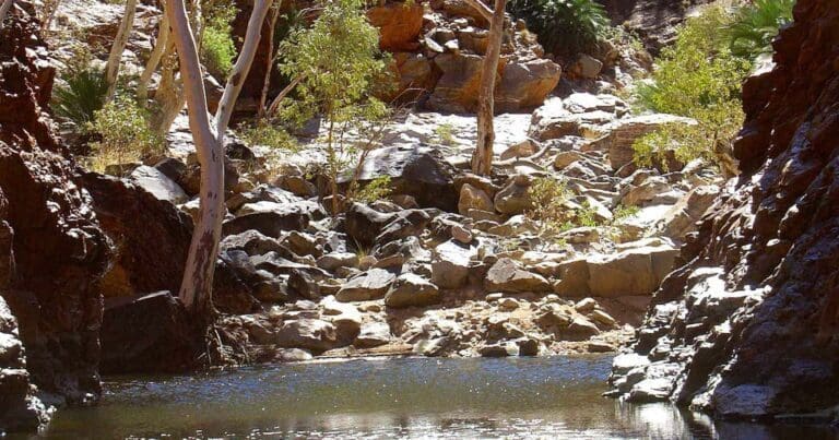 Serpentine Gorge to Mount Sonder Hike (92km) Serpentine gorge to mount sonder 768x403