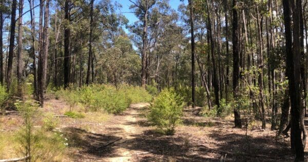 Hikes Discovery trail and clayhill track circuit 600x315