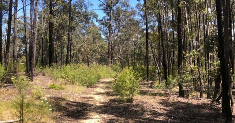 Discovery trail and clayhill track circuit 768x403