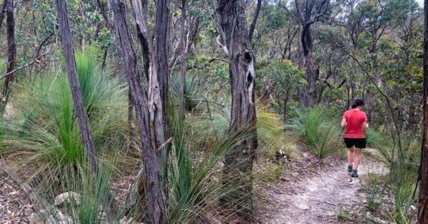 Djerriwarrh creek circuit 600x315