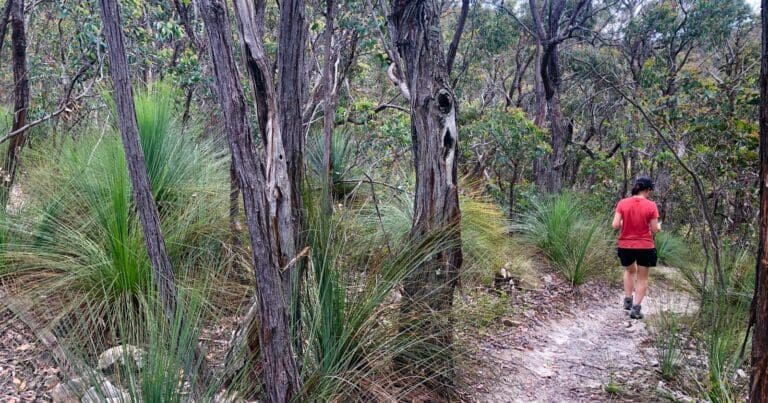 Djerriwarrh creek circuit 768x403