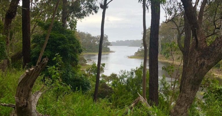 Lonely Bay Walk (5.5km) Lonely bay walk 768x403