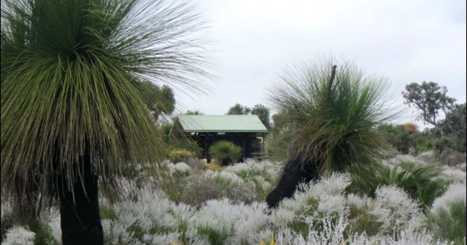 Coastal Plain Walk Trail