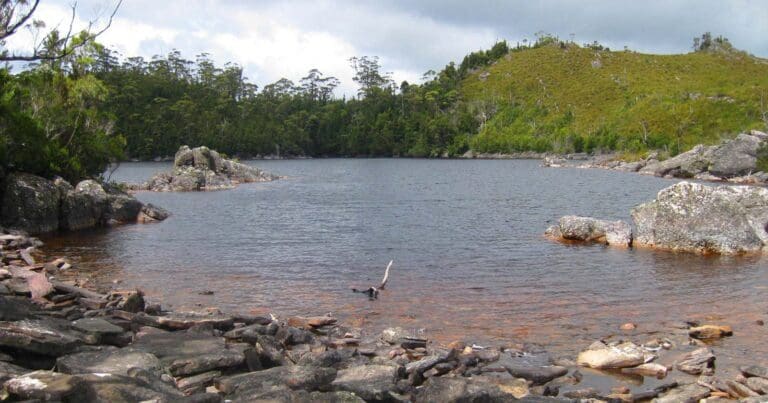 Lake Herbert Hike (7.5km) Lake herbert 768x403