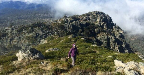 Overnight hikes Australia Mount cobbler plateau circuit 600x315